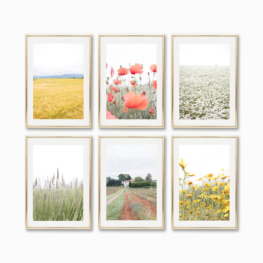 Provence France Wall Art Prints Gallery Wall Set Gallery - Etsy