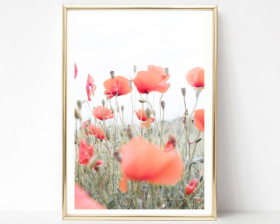 Provence Wall Art Prints Europe Photography Prints France Etsy