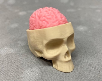 Skull and Brain Fidget Clicker - Made with real keyboard switches, 3D Printed, Stim Toy