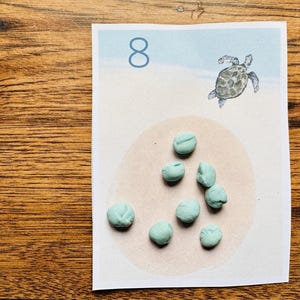 Può includere: Una carta educativa rettangolare con il numero 8 in blu, una piccola illustrazione di una tartaruga marina e otto piccoli oggetti arrotondati di colore azzurro disposti su una macchia circolare beige che rappresenta la sabbia.