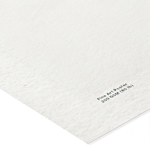 Pu&ograve; includere: Un foglio di carta per poster d'arte bianco e testurizzato con finitura opaca. L'angolo in basso a destra presenta un testo stampato in nero che recita: Fine Art Poster 200 GSM (80 lb). La carta ha una grana visibile e un bordo netto.