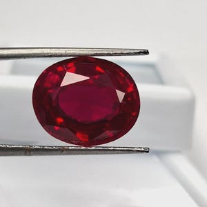 Op de afbeelding: Een levendige, dieprode edelsteen in ovaal geslepen vorm, vastgehouden tussen de metalen punten van een pincet. De steen heeft een gefacetteerd oppervlak dat licht reflecteert, met een rijke karmozijnrode kleur en een symmetrische, ronde vorm.