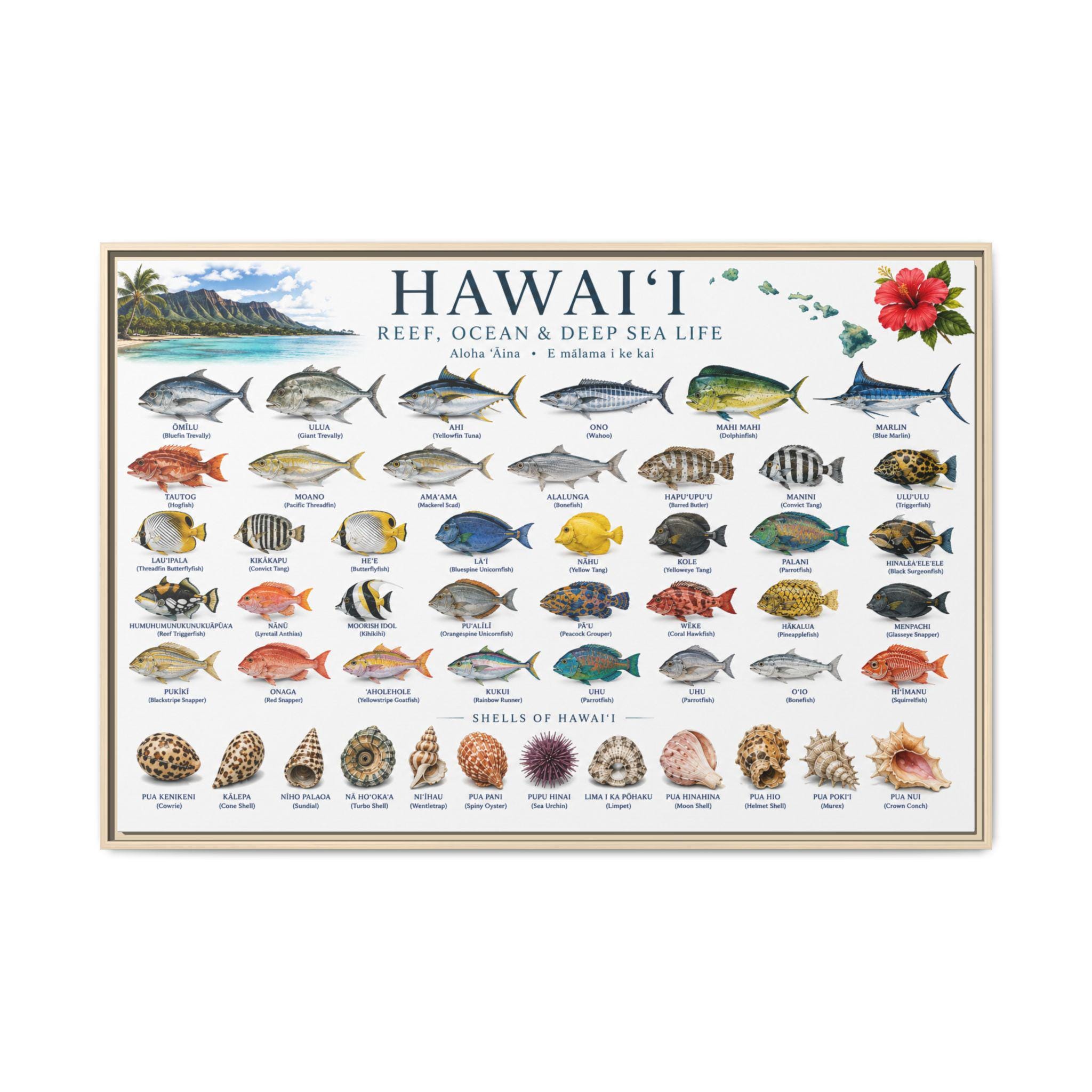 Reef Fish of Hawaii Poster - Etsy