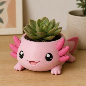 Cute Anime Axolotl 3D Printed Planter Pot - Hand Painted Kawaii Succulent Pot for Desk Decor