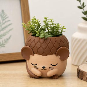 Sleepy Acorn Mouse Planter - Hand-Painted 3D Printed Succulent Pot