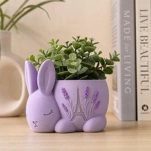 French Lavender Bunny Planter, 3D Printed Succulent Pot with Hand Painted Detail