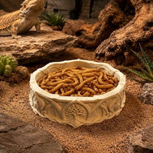 May include: A round, off-white, textured bowl filled with a large portion of brown mealworms. The exterior of the bowl features intricate, carved-style relief patterns, including tree motifs and arched designs, creating a detailed, decorative appearance.