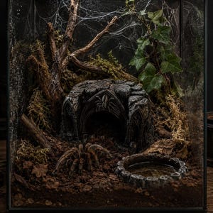 May include: A glass terrarium enclosure containing a brown tarantula, a dark stone-like arched cave structure with a spider carving, a small circular water dish, moss, soil, a piece of driftwood, and green ivy leaves with visible spider webs.