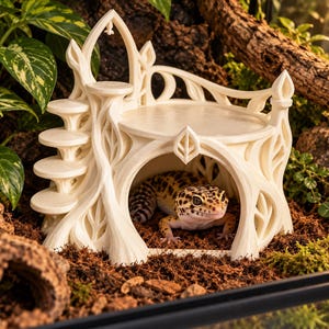 May include: An off-white, multi-level reptile hideout featuring a curved staircase leading to an elevated platform, with an arched entrance at the base. A spotted leopard gecko is positioned inside the hollow, open-fronted structure.