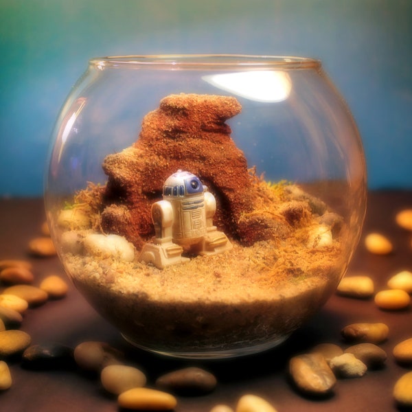 Mini R2D2 on Tatooine - Star Wars Terrarium World