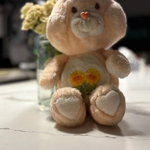 Peut inclure: Un ours en peluche pêche avec un nez en forme de cœur et des accents en forme de cœur sur ses pieds. L'ours a un visage souriant et un patch de fleurs jaunes sur son ventre. Un bocal en verre avec des fleurs jaunes est en arrière-plan.