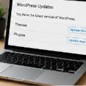 May include: A laptop screen displaying a WordPress Updates page with the text WordPress Updates, You have the latest version of WordPress, Themes, Plugins, and two Update Now buttons. The interface shows system status and update options.