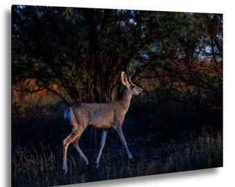 Wydruk fotograficzny z jeleniem mulakiem, sztuka ścienna z dziką przyrodą z Południowego Zachodu, dekoracja artystyczna z górską naturą