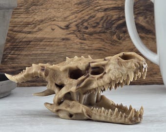 Dragon skull replica -- Hand-painted model