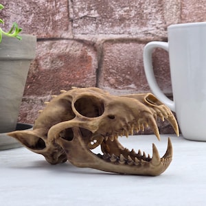 May include: A tan-colored animal skull replica featuring a prominent snout, sharp teeth, and large eye sockets. The skull has a textured surface with dark brown shading in the crevices, showcasing detailed bone structure and pointed ears.