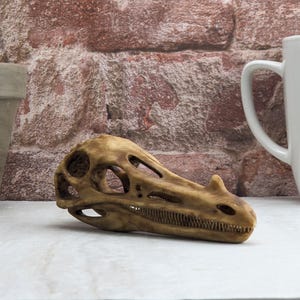 May include: A tan-colored, elongated dinosaur skull replica featuring a prominent nasal horn, multiple large orbital and temporal fenestrae, and a detailed jawline with visible teeth, crafted with a weathered, bone-like texture.
