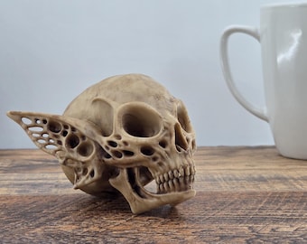 Fairy Skull -- Hand-Painted Model