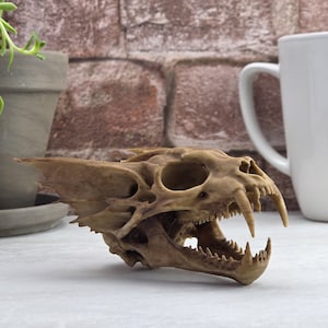 May include: A tan-colored, sculpted fantasy creature skull featuring prominent, elongated fangs, sharp teeth, and large, pointed, wing-like structures extending from the sides of the cranium, with hollow eye sockets and a detailed, textured bone-like surface.
