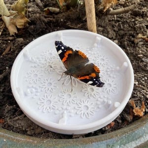 3D Printed Butterfly Bee Feeder | Garden Pollinator Drinking Station, Wildlife Puddle Dish