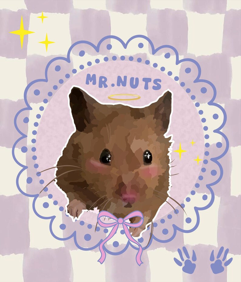 May include: An illustration of a brown hamster with the text "MR.NUTS" inside a pink and blue scalloped frame. The hamster has rosy cheeks, a halo, and a pink bow. The background is a checkered pattern in shades of purple and white.