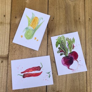 May include: Three rectangular white cards featuring watercolor illustrations of vegetables. One card shows a yellow corn cob with green husks, another displays two red chili peppers, and the third depicts two purple beetroots with green leafy tops.