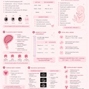 May include: A pink and white infographic titled "OB Ultrasound Must Knows" with key information about pregnancy scans. Includes sections on dating, anatomy, fetal well-being, and more. Features ultrasound images and medical terminology.
