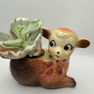 May include: A ceramic planter shaped like a reclining lamb with a brown textured body and a cream-colored head. The lamb features painted black eyes with long lashes and a red bow at the neck. A light green succulent plant is potted inside the back.