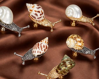 Natural Seashell Snail Drawer Knobs, Brass Base Cabinet Pulls, Nautical Decorative Dresser Knob