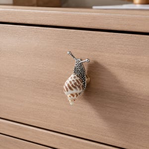 May include: A drawer knob shaped like a snail with a textured silver metal body and a natural spiral seashell for the shell. The snail features two silver antennae with small round tips and is mounted on a small gold-toned circular base.