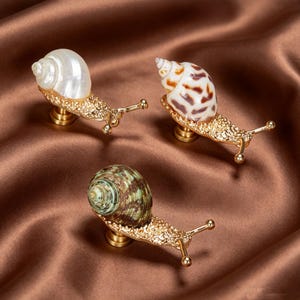 May include: Three snail-shaped cabinet knobs featuring gold-toned metal bodies with textured surfaces and distinct shells. One knob has a pearlescent white shell, one has a brown-spotted shell, and one has a green and brown striped shell.