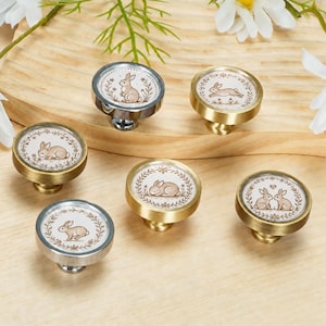 May include: A set of five round cabinet knobs featuring illustrations of brown rabbits inside floral wreaths. The knobs have metallic finishes in silver and brass tones, with each piece displaying a different rabbit pose or scene on a white background.
