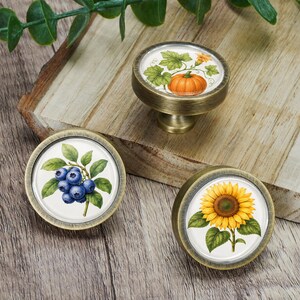 May include: Three round cabinet knobs with an antique brass finish. Each knob features a circular insert displaying a botanical illustration: one shows a bright orange pumpkin with green leaves, one shows blue blueberries, and one shows a yellow sunflower.