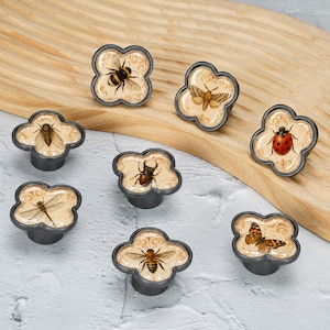 May include: A set of seven clover-shaped cabinet knobs with dark gray metal frames. Each knob features a glossy, cream-colored insert decorated with a detailed illustration of a different insect, including a bee, moth, ladybug, beetle, and dragonfly.
