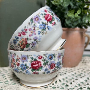 England Staffordshire Bone China Springtime dessert Custard Cups dishes Vintage Cottage Bowl