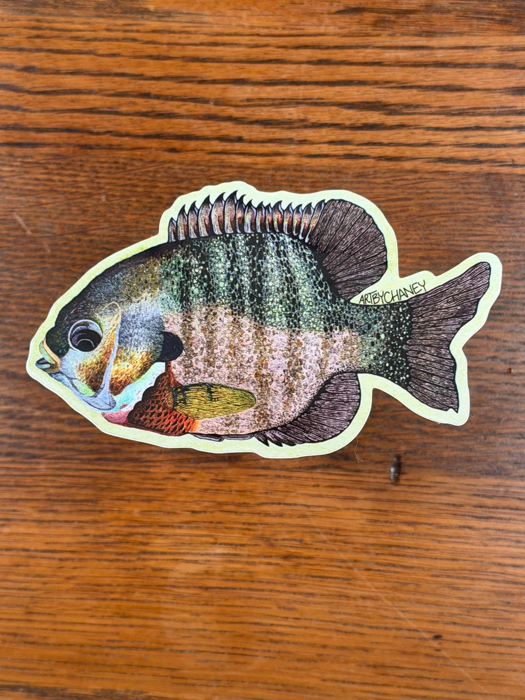 Bluegill Fish Sticker - Etsy