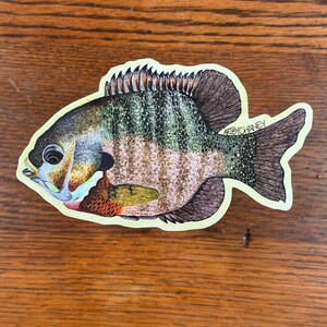 May include: A colorful sticker of a fish with a detailed illustration. The fish has a mix of green, brown, and orange hues, with black accents. The sticker has a light green border and the text "ARTBYCHANEY".
