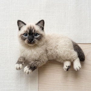Könnte beinhalten: Eine nadelgefilzte Siamkatzen-Figur mit cremefarbenem Fell, einer dunkelbraunen Gesichtsmaske, dunklen Ohren und einem dunklen Schwanz. Die Katze hat leuchtend blaue Augen, eine kleine schwarze Nase und sichtbare Pfotenballen an den Vorder- und Hinterpfoten.