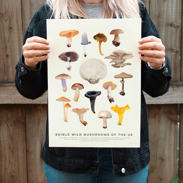 Edible Wild Mushrooms Of The UK - Giclee Print, Mushroom Guide, Mushroom Art, Edible Mushroom Poster, Food Art, Fungi, Kitchen Art,