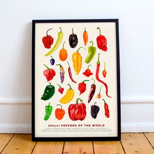 Chilli Peppers of the World Giclee Print – Kitchen Food Art