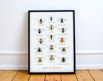 Bees of Britain - Giclee Print, Bees of Britain, British Bees, Bee Poster, Bee Art, Bee Print, Wild Bees, Botanical Print, Insect Art,
