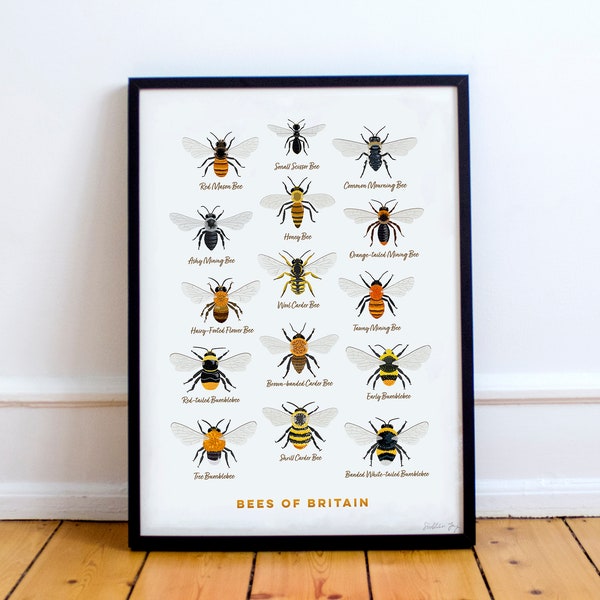 Bees of Britain - Giclee Print, Bees of Britain, British Bees, Bee Poster, Bee Art, Bee Print, Wild Bees, Botanical Print, Insect Art,