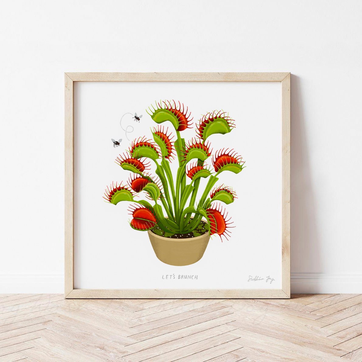 12+ Venus Fly Trap Art