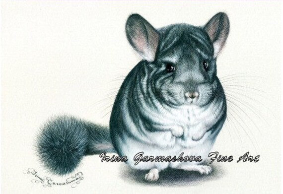 Rat ACEO Print In Black and White by I Garmashova