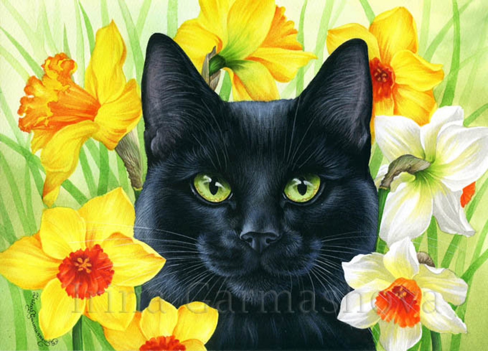 Black Cat Print Daffodils by Irina Garmashova Etsy