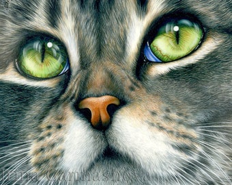 Tabby Cat Print Close Definition by Irina Garmashova