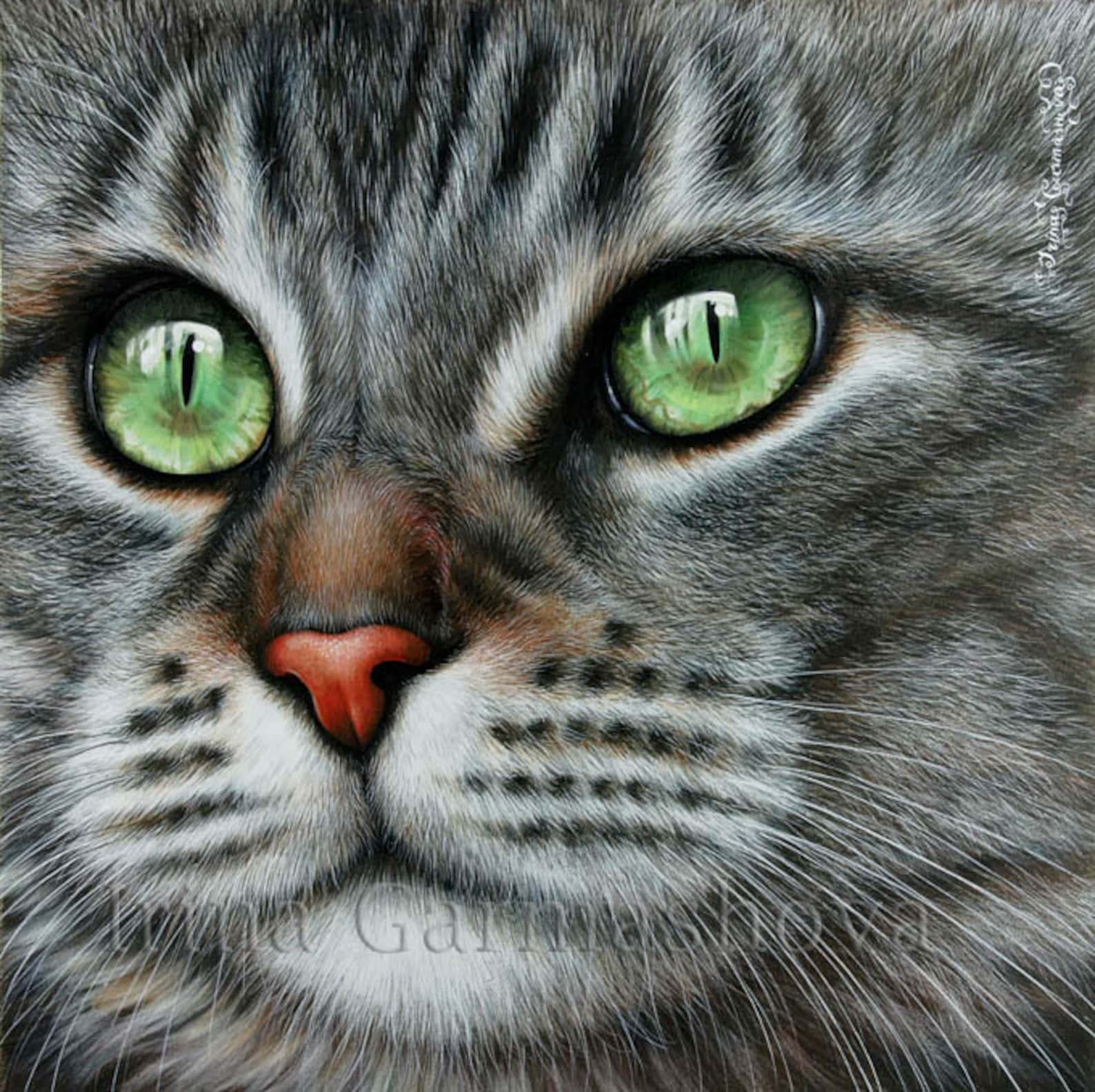 Tabby Cat Print Definition by Irina Garmashova Etsy