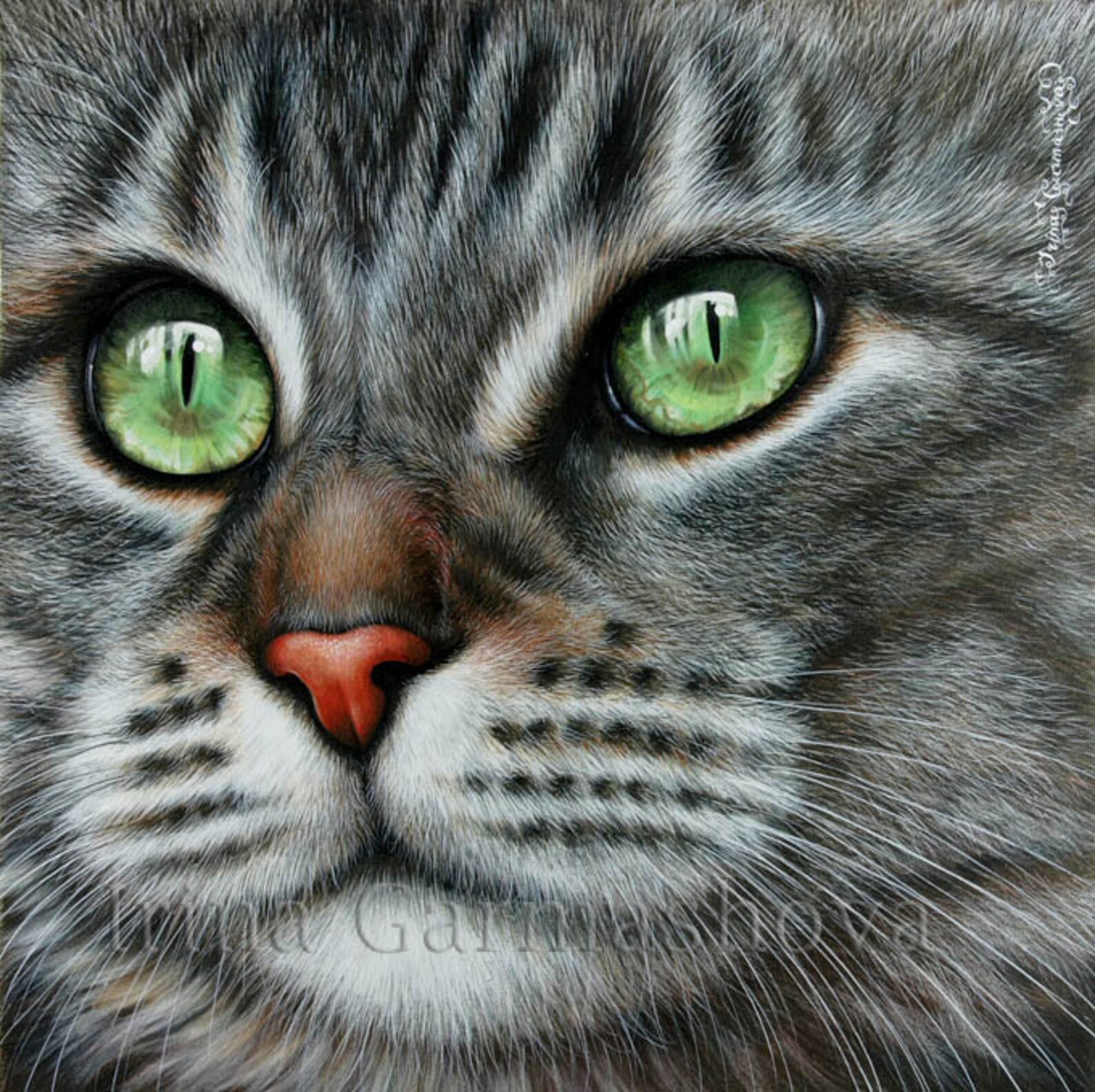 Tabby Cat Print Definition by Irina Garmashova Etsy