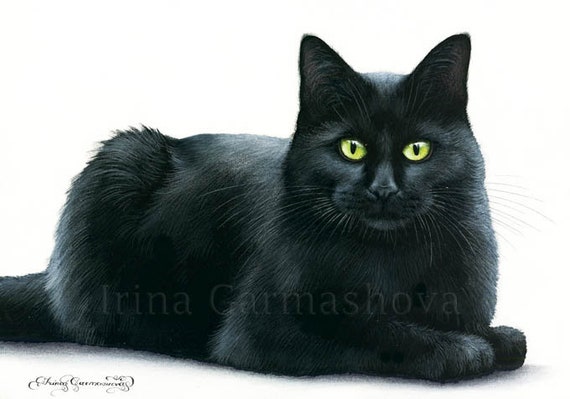 Black Cat Print Content by Irina Garmashova