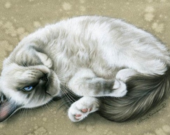 Ragdoll Cat Print In Sepia by Irina Garmashova
