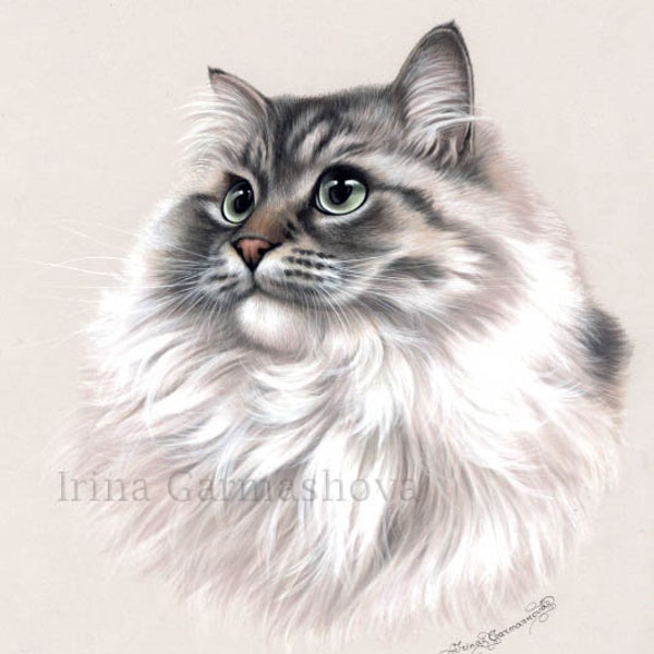 Ragamuffin Cat Print Proud by Irina Garmashova